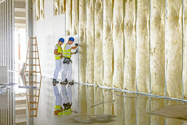 Best Attic Insulation Installation  in Bruce, MS